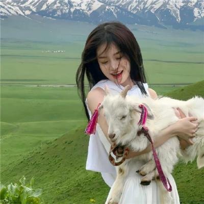 企鹅与水晶